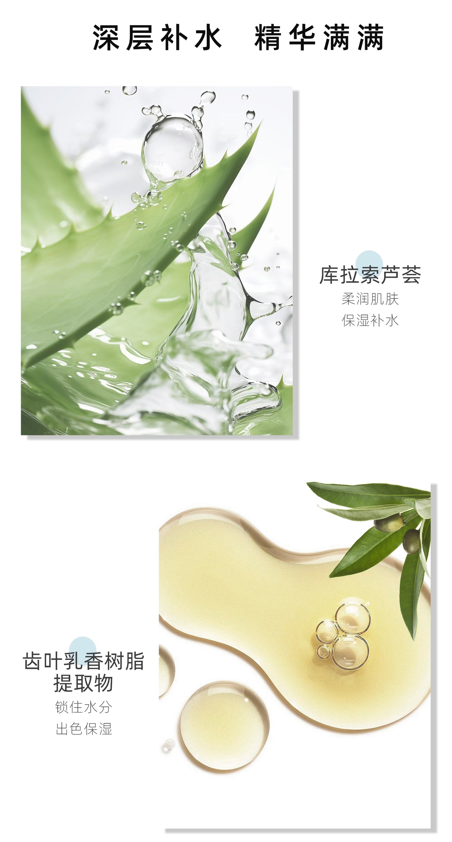 MITOMO 芦荟精华面膜-深层保湿修护，滋润保湿适合干燥肌肤-26ml/片 【MTSS00512-C-4C】