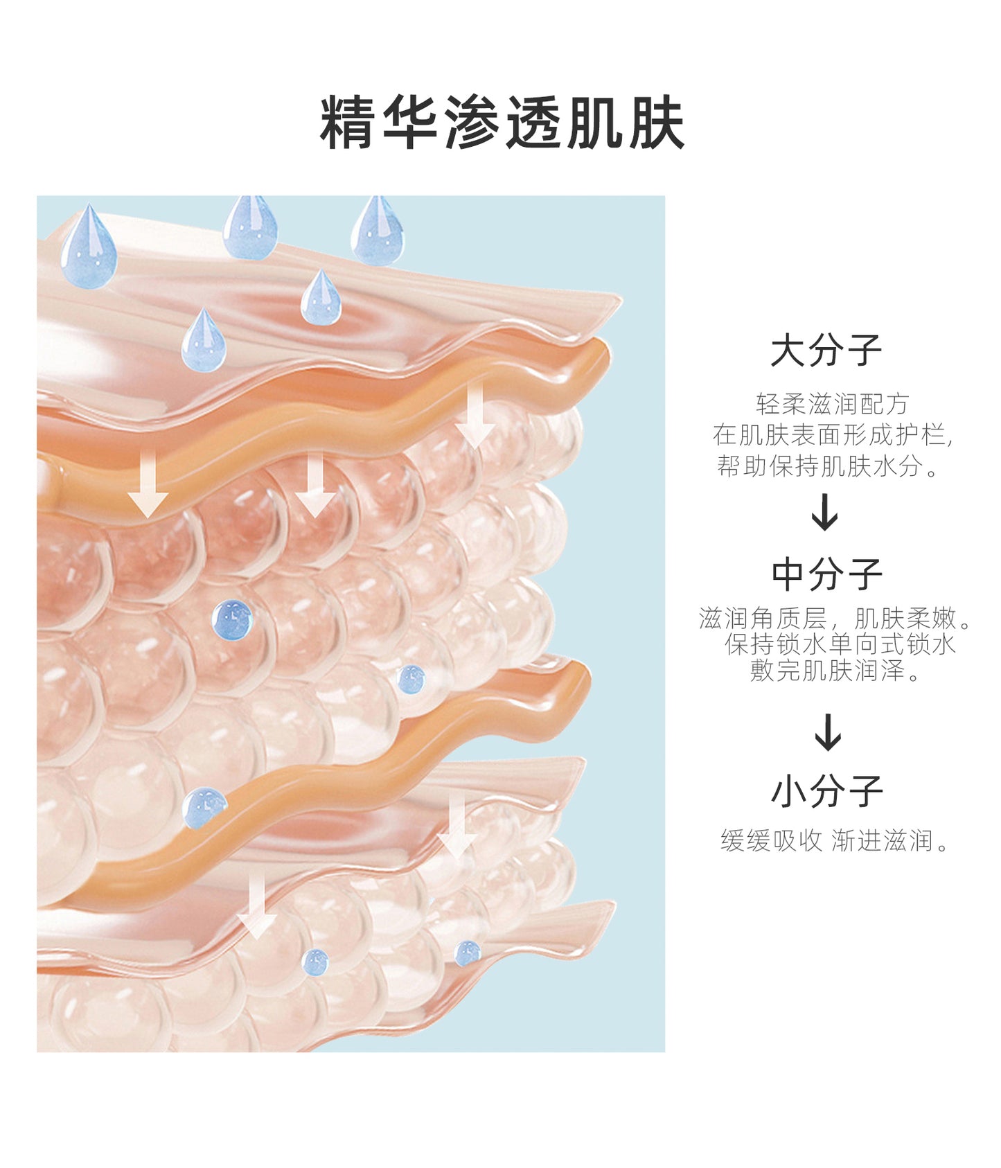 MITOMO 芦荟精华面膜-深层保湿修护，滋润保湿适合干燥肌肤-26ml/片 【MTSS00512-C-4C】